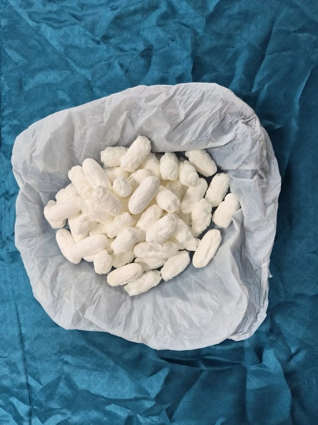 인분 모양으로 소분한 케타민. 강원경찰청 제공