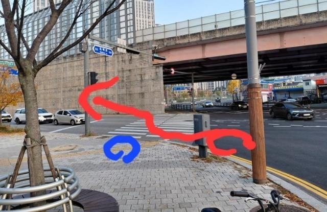 당시 시민이 서 있던 위치(파란색)와 배달기사의 이동 경로(빨간색). 보배드림