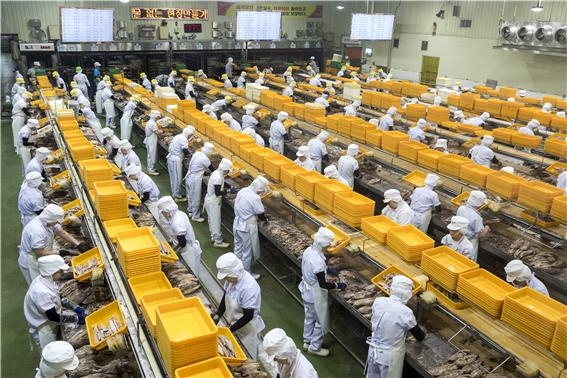 참치통조림 생산 현장. 국립수산과학원 제공
