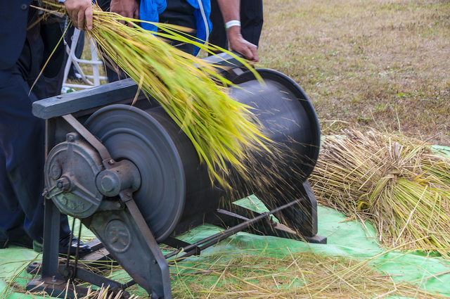 탈곡기. 게티이미지뱅크