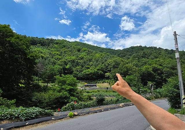지난 7월 24일 한 주민이 태백시 문곡소도동 소롯골경로당 인근에서 목 없는 시신이 발견된 장소를 가르키고 있다. 뉴시스