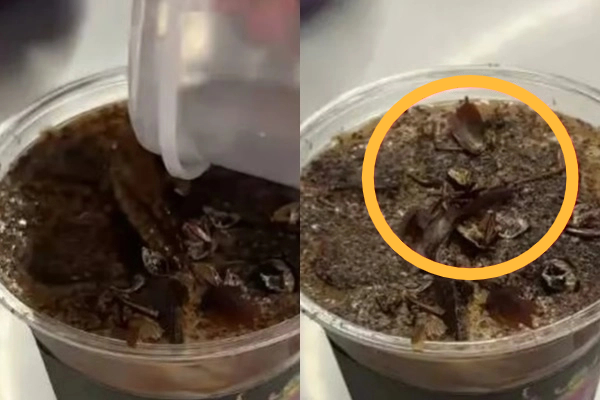 중국의 한 박물관 카페에서 판매하는 바퀴벌레 토핑 커피. 웨이보 갈무리