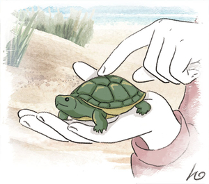 더 자란다고 해도 나에게 넌 영원한 아기 거북이… 장군아, 많이 많이 사랑해![함께하는 ‘감사편지 쓰기’ 연중 캠페인]