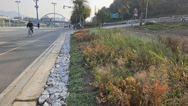 동대문구가 중랑천 이화교 일대에 조성한 그라스원. 동대문구청 제공