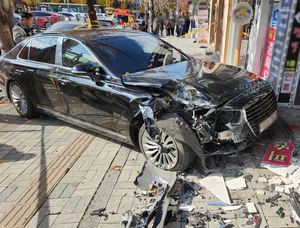 이번엔 인도 돌진… 엄마·2살 딸 중태