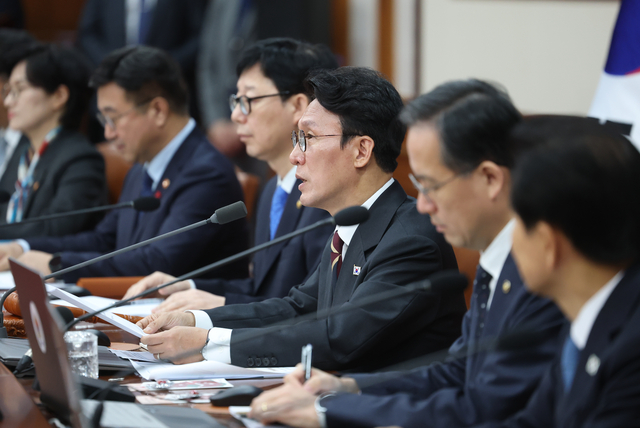 김 총리 국무회의 주재