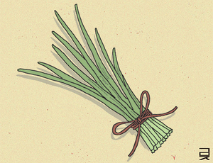 부추[한성우 교수의 맛의 말, 말의 맛]