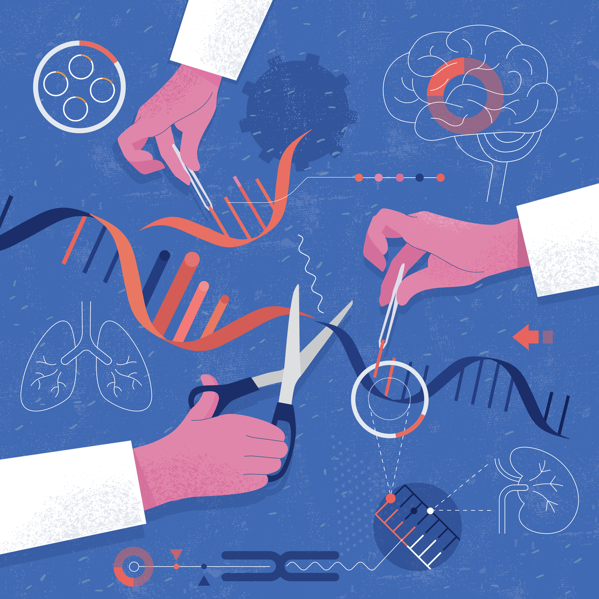 '크리스퍼 가위' 최초 특허 韓기업 '툴젠'... 더 안전하고 정확하게... - 뉴스 썸네일 이미지