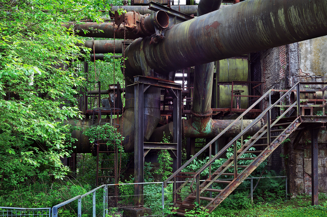 조춘만 작가의 ‘식물의 역습’. 태화복합문화공간 만디 제공