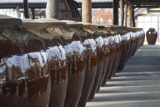 경기 포천시에 자리한 양조장 ‘산사원’에 술독이 줄지어 놓여있다. 경기관광공사 제공