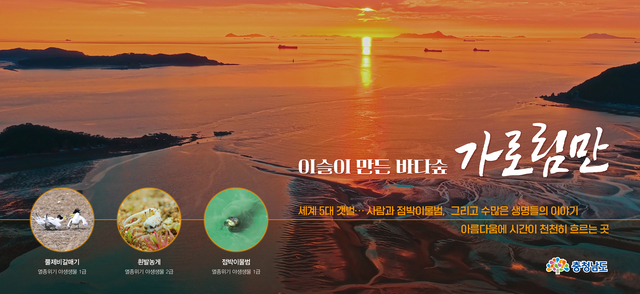 가로림만 이미지