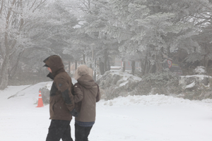 한라산은 겨울왕국