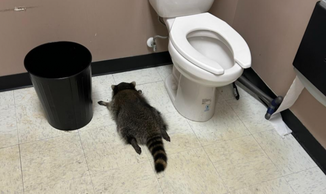 ‘사람이 아니었어?’ 깨진 술병들 그리고 대자로 뻗은 만취 ‘이 동물’