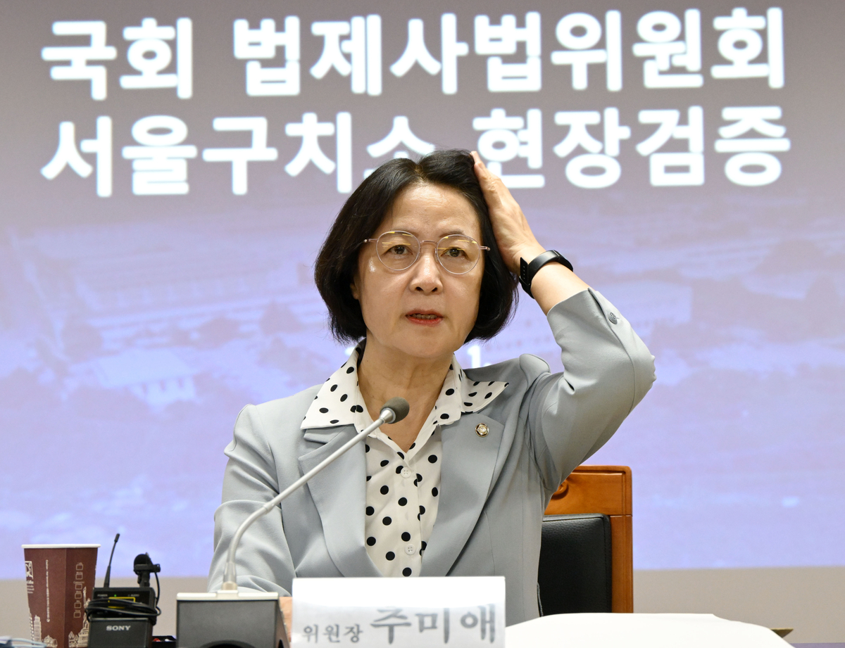 추미애 “5시간 걸려 집에 왔다…오세훈에 몰표 준 강남도 제설 안돼”