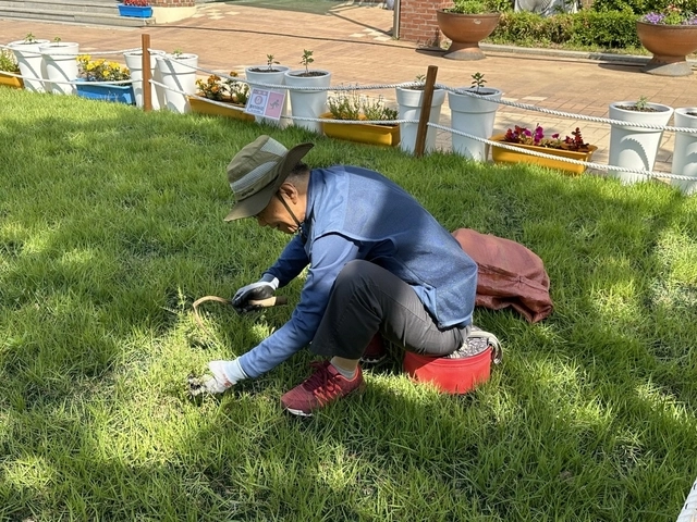 노인 시장형 일자리 사업인 ‘학교환경관리지원사업’. 고양시 제공