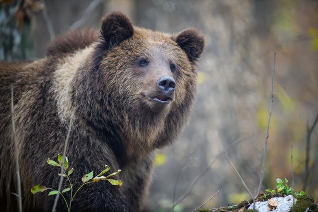 게티이미지뱅크