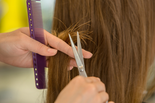 게티이미지뱅크