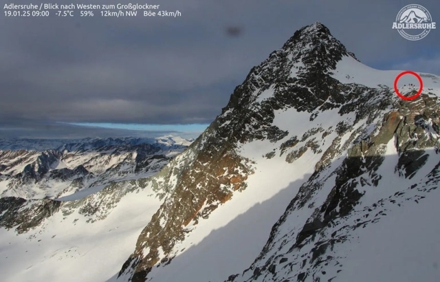 뉴욕포스트 캡처