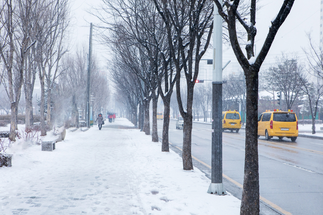 °ÔƼÀ̹ÌÁö¹ðÅ©