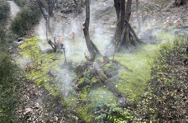 서대문구 안산(鞍山) 쉬나무 쉼터 일대 ‘이끼숲’ 조성 현장. 서대문구청 제공