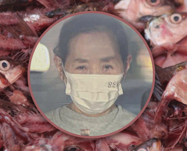 “어쩐지 싸고 양 많더라…” 버려진 ‘생선 폐기물’ 가져다 장사한 식당