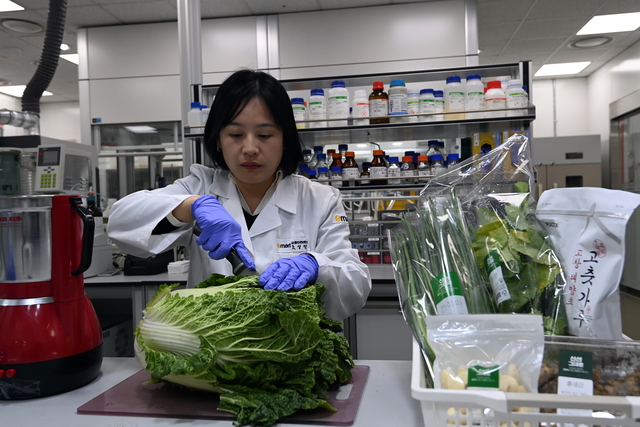 조성진 이마트 상품안전센터 과장이 지난달 24일 서울 구로구 이마트 구로점 상품안전센터에서 배추 잔류농약 검사를 위해 샘플링을 하고 있다.  곽성호 기자