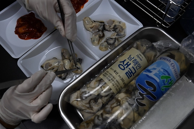 지난달 24일 서울 구로구 이마트 구로점 상품안전센터에서 연구원이 노로바이러스 검사를 위해 생굴을 잘라 표본을 만들고 있다.  곽성호 기자