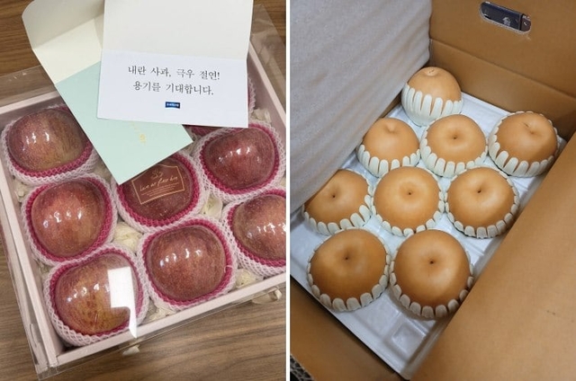 민의힘 사무처노동조합이 조국혁신당에 12일 보낸 ‘배 상자’(오른쪽) 사진. 앞서 조국혁신당은 국민의힘에 사과를 보낸 바 있다. 조국혁신당·국민의힘