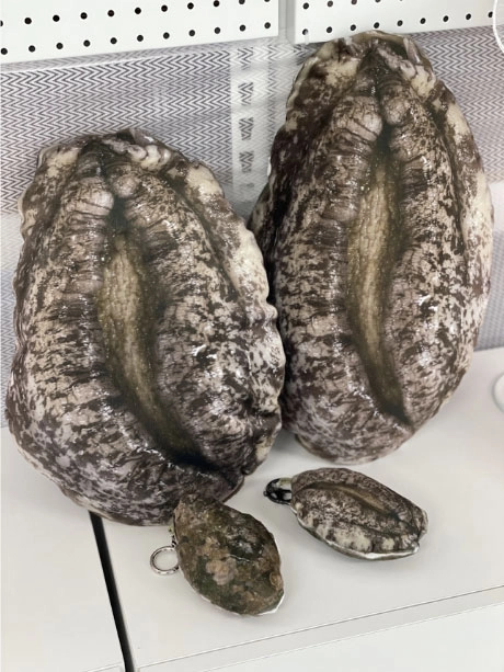 전복 쿠션과 전복 키링. 사진 고향사랑e음 홈페이지 캡처