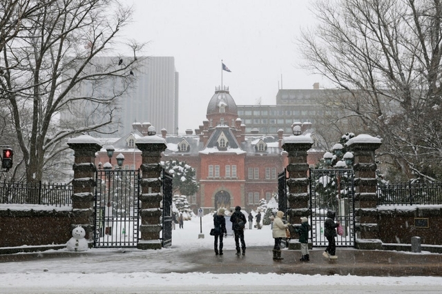 14일 눈 내린 삿포로 시내 전경. 연합뉴스