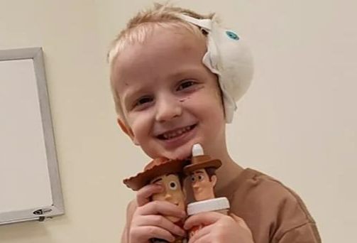 고펀드미 뉴시스