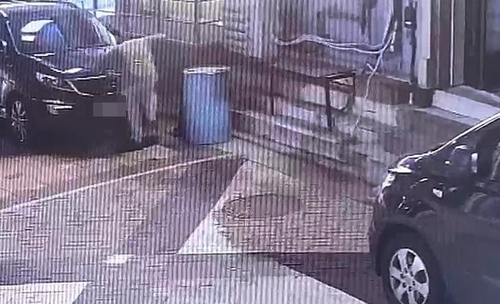 길고양이 학대하는 A 씨. 동물자유연대 제공