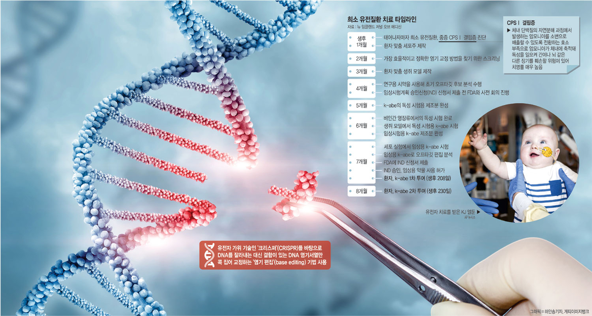 「遺伝子ハサミ」で希少疾患の治療に期待…新生児が今年の科学者トップ10入り[Science]