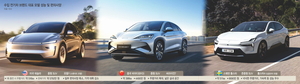 ‘가성비’부터 ‘프리미엄’까지… 수입전기차 매서운 질주[자동차]