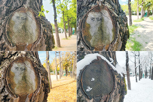 봄 여름 가을 겨울 “괜찮아”[포토 에세이]