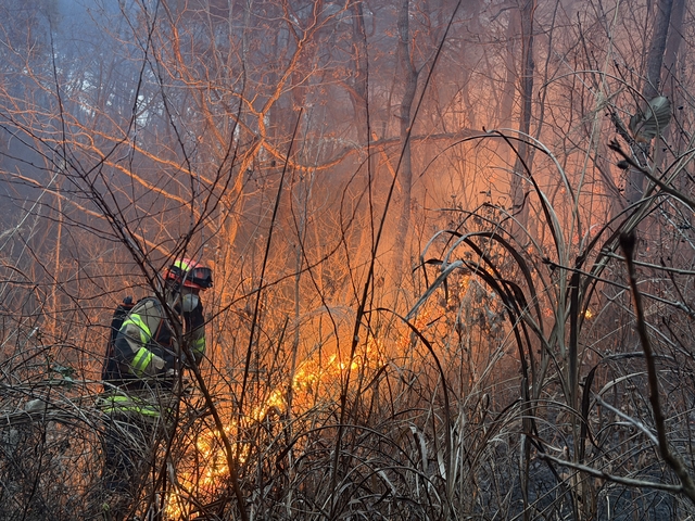 10일 오후 경북 의성군에서 대형 산불이 나 산불 대응 2단계와 소방 대응 2단계가 발령된 가운데 한 소방관이 진화에 나서고 있다. 경북도소방본부 제공