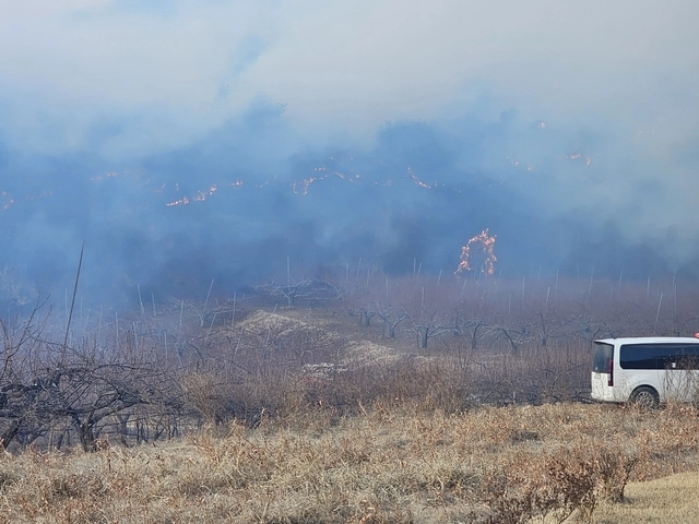 10일 오후 3시 14분께 경북 의성군 의성읍 비봉리 산에서 불이 났다. 연합뉴스