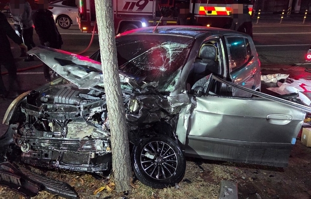 대전 동구 음주 역주행 뺑소니 사고. 뉴시스