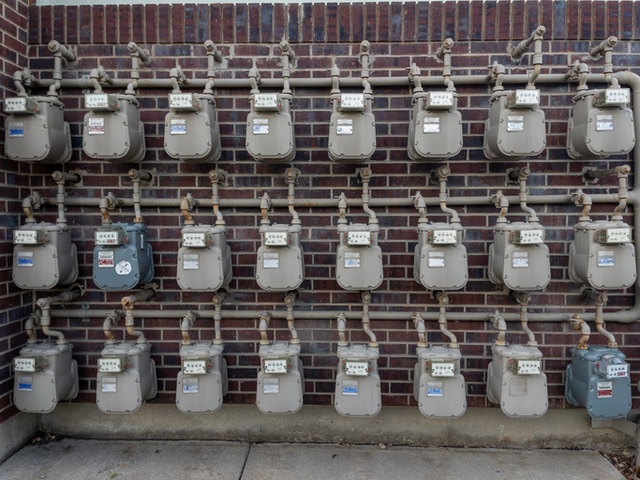 게티이미지뱅크