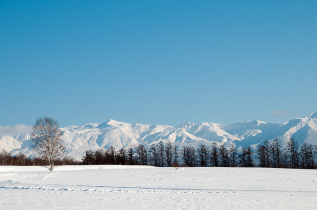  ��Ƽ�̹�����ũ