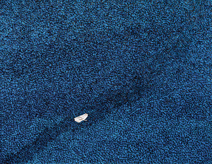 포용과 초월의 바다를 그리다[그림 에세이]