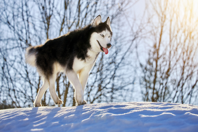 게티이미지뱅크. 사진은 해당 기사와 직접적 관련이 없음