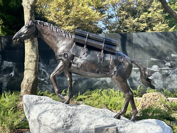 2024년 제주 애월읍 ‘렛츠런파크 제주’에 세워진 제주마 혈통 레클리스 하사 기념 동상. 제주도는 매년  말축제를 이어오고 있다.