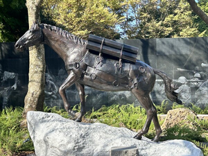 ‘6·25전쟁 전설의 軍馬’ 레클리스 열풍…레클리스 동상 미국·제주 이어 평택 미군기지도 들어선다