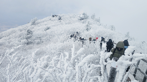 시리게 아름다운 덕유산 눈꽃