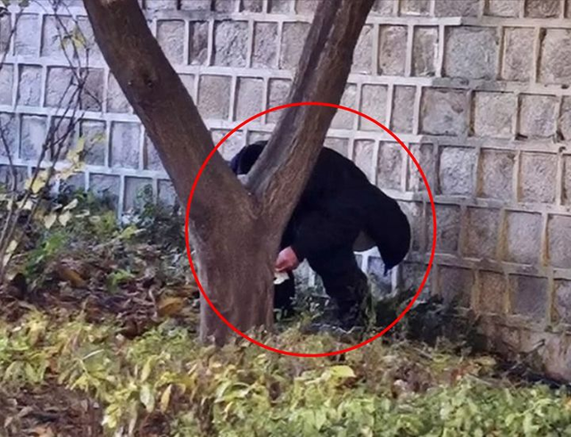 중국인으로 추정되는 남성이 경복궁에서 용변을 보는 모습. 서경덕 교수팀 제공