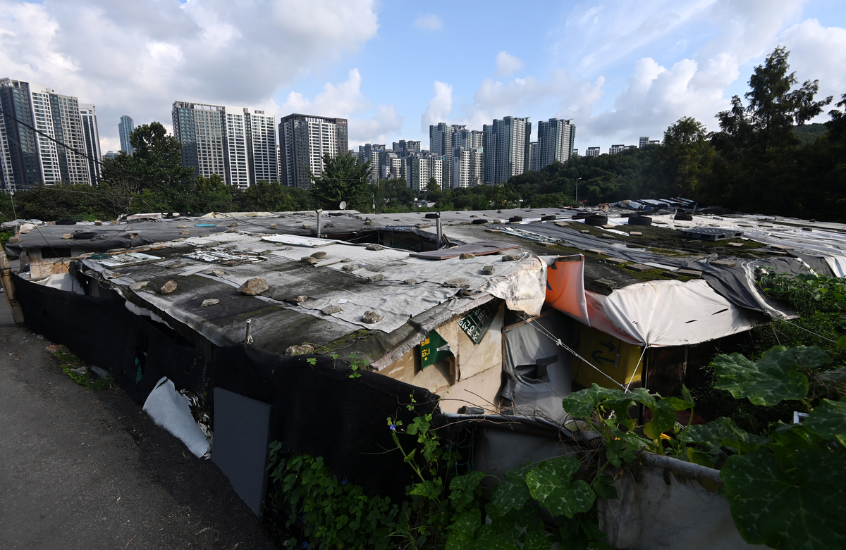 [속보]‘강남 마지막 판자촌’ 구룡마을 화재…“주변 차량 우회하라”