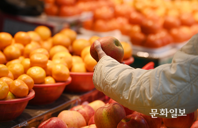 문화일보 자료사진