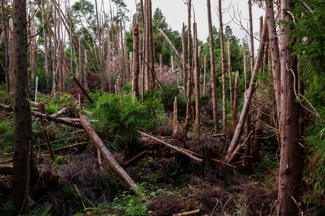 기사와 관련없는 이미지. 게티이미지뱅크