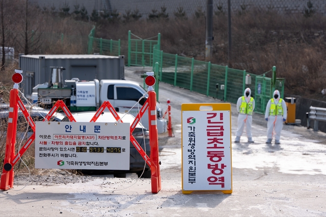강릉시, 아프리카돼지열병 추가 확산 막기 위한 차단 방역 모습. 강릉시청 제공